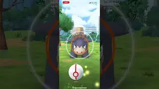 Catching Shiny Mega Camerupt!!✨😍🎉🔥 #pokemongo #pok&eacute;mongo #raid #shiny #shinypokemon