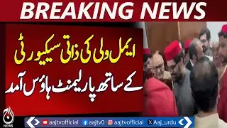 Amil Wali | Parliament House Arrival | Personal Security | Pakistan news