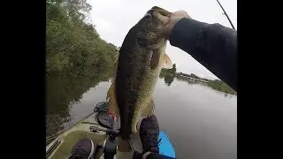 Kayak Bass Fishing Pinto Lake - 6/15/2019