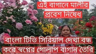 মহিলা গ্রোয়ার রীতা দিদির স্বপ্নের গোলাপ বাগান: Beautiful rose🌹garden Visit