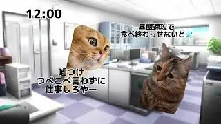 День из жизни работника, работающего неполный рабочий день (кошачий маникюр, мем с котом)