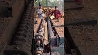 Wooden peeling style sawmill 🪵🌲|#sawmill #plywood