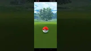 Catching Shinx in the wild in Pok&eacute;mon Go with just one Pok&eacute; Ball