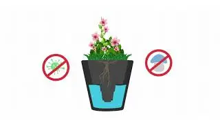Introducing TruDrop, a revolutionary self-watering system