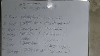 BODY Membrane ##Study##Teaching Point Chennal ko Likes 🤙##Subcribe kre शरीर की प्रमुख झिल्ली 