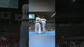 Kyokushin Karate KO Old School Martial Arts