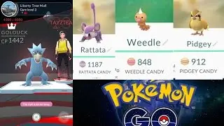 Pokemon GO: Whats The Point Of GYMS? How to LEVEL UP Fastest!