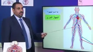 الصف السادس   التربية الخاصة   العلوم   الجهاز الدوري   الجزء الأول