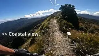 Te Ara Paparoa P1