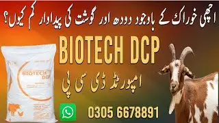 Biotech DCP powder for Animals || DCP powder for animals