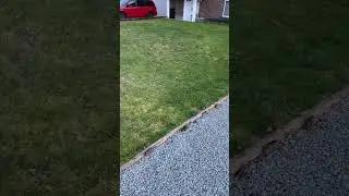 Stress test: fixed lawn after chafer beetle damage (12 months later) #landscaper #redsealvas