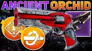 Is Ancient Gospel Worth Crafting? (REVIEW) | Destiny 2 Revenant