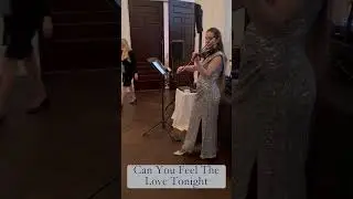 PopRock Electric Violinist Dasha plays “Can You Feel The Love Tonight “