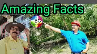 Amazing Science Facts || Topi Bala Channel || Facts