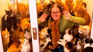 Animal Hoarder House Compilation 🙀 Worst Hoarders with Cats, Dogs, Rats, Rabbits