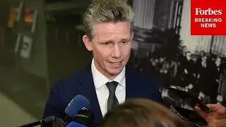 Sweden Defense Minister Asked Point Blank About Trump's 'No Comment' On Using Military For Greenland