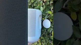 Sound for your outdoor space | Sonos