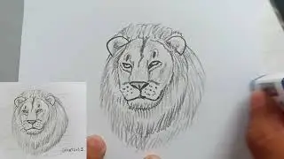 C&oacute;mo dibujar un le&oacute;n   |How to draw a lion