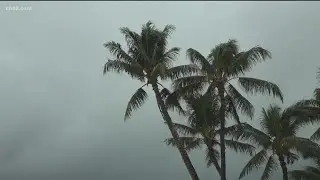 Hawaii deals with muddy fallout after winter storms slam the islands
