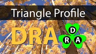 DRA Triangle Profile from Tara&rsquo;s Triangle Personality Type Psychology Tool