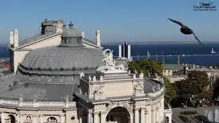 Test dolly zoom на DJI Mavic 2 zoom