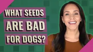 What seeds are bad for dogs?