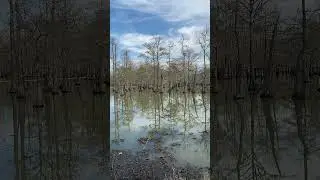 A Peaceful Marsh Afternoon in Southeast Texas
