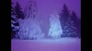 Blizzard 