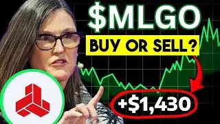 Акции MLGO: ОГРОМНЫЕ НОВОСТИ!? (Поблагодаришь меня позже, братан) MicroAlgo