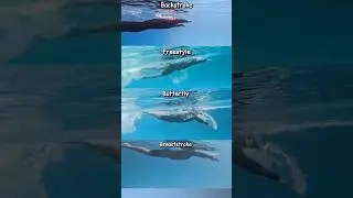 All 4 Swimming Stroke - what's your favourite ? #swimming #learnswimming #swimmingtips
