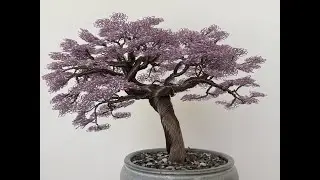 Handcrafted Wire Bonsai Sculpture Inspired by Pink Lapacho (Tabebuia Rosea) | 1,300 ft of Wire Art