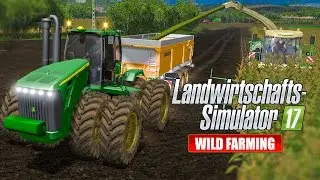 LANDWIRTSCHAFTS-SIMULATOR 17 #34: Mais-Ernte und Sachsens Romanze! LS17 Multiplayer Wild Farming