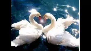 LIBRA Romance and Relationship Reading September 2017