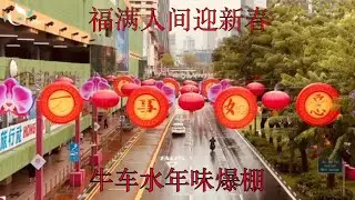 新加坡迎新春 牛车水年味浓 2025农历新年 2025 Chinese New Year Chinatown is full of festive atmosphere