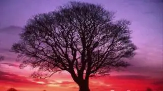How He Loves Us -David Crowder Band