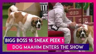 Bigg Boss 16 Sneak Peek 1 | Dec 26 2022: Contestants Rejoice As A Furry Friend Enters House On Xmas
