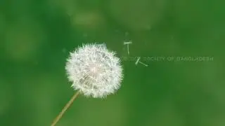 MOSB