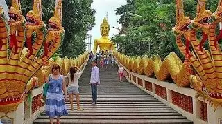 Modicare Pattaya Trip | Foreign Trip | Qualification Based trips