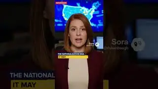 Введенное Трампом национальное голосование &mdash; плохая идея #viral #viralshorts2025