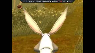Open Season Walkthrough 4 - Wake in the Wild