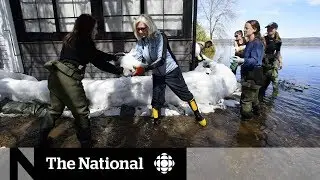 Record-breaking floods leave Ottawa residents exhausted