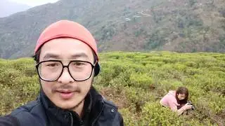 Darjeeling Arya Tea Estate 2019