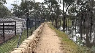 Flood levels around the Echuca Holiday Park #echuca