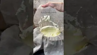 Шумерский сыр 🧀