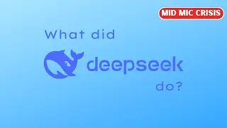 What Did DeepSeek Do?