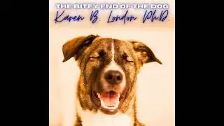 The Human Side of Dog Aggression: Insights from Dr. Karen London