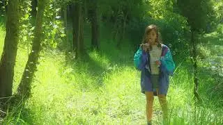 O Sol no canto da folha clip