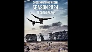 Season 2024 record season