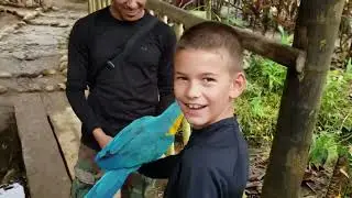 Ecuador Amazon Adventure | Canoe Ride, Indigenous Tribe, Jungle Views & Blow Dart Fun