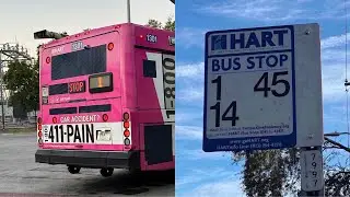 For @transitnthings: Hart bus #1301 on Route 1 to Marion Transit Center (MTC)